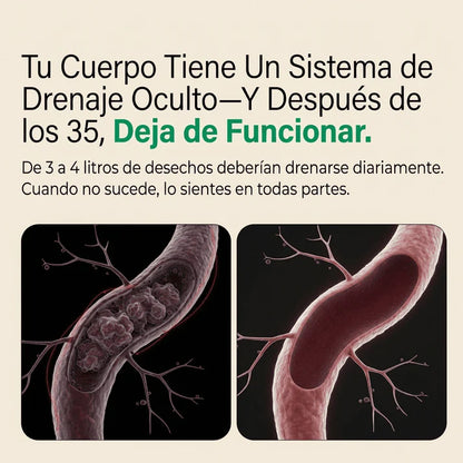Nueva fórmula de máxima potencia: cápsulas de drenaje linfático de Mythos™